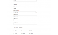 Magento 2 Road Runner Shipping Extension