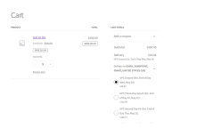 Woocommerce UPS Shipping Extension With Rest API